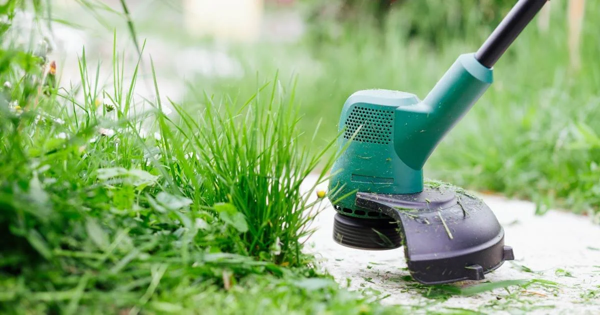 Electric grass trimmer cutting overgrown lawn along a garden path